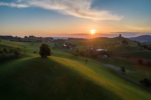 Sunset with lime tree on Drumlinhuegel