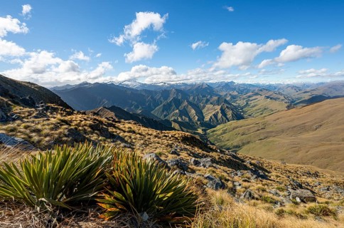Hiking trail to Ben Lomond