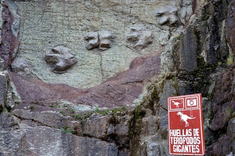 Dinosaur tracks in a vertical rock face