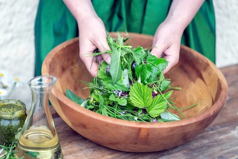 Wild herb salad