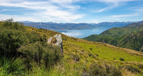View from the Grandview Mountain Track to the lake