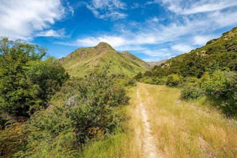 Hiking trail in the valley of Grandview Creek