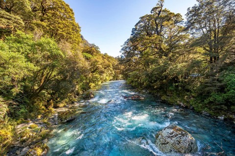 Hollyford River