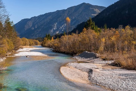 Natural riverbed of the upper Isar in front of the Sylvenstein reservoir