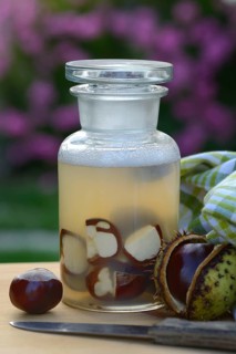 Chestnut