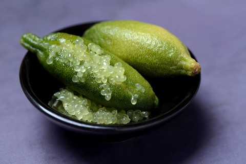 Australian finger lime