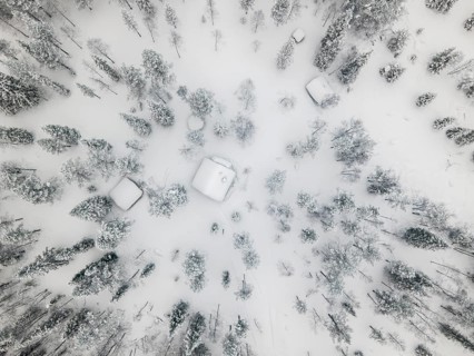 Aerial view of houses in the forest in winter