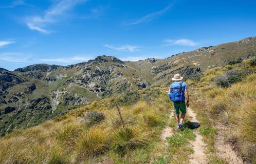 Hikers on trail