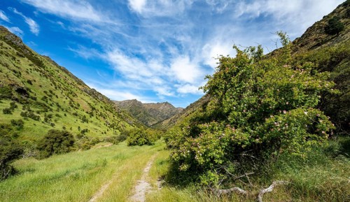 Hiking trail in the valley of Grandview Creek