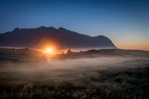 Pasture at night with haze on the ground