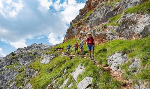 Four hikers on a hiking trail