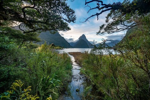 Mitre Peak