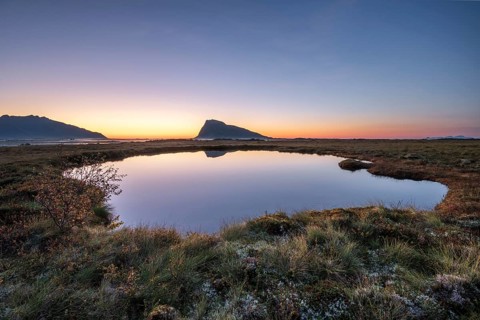 Swampland