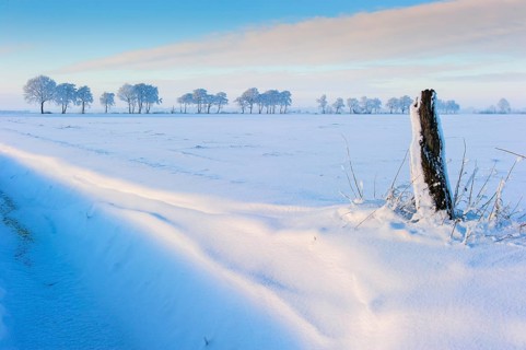 Winter day in the snowy Feldmark