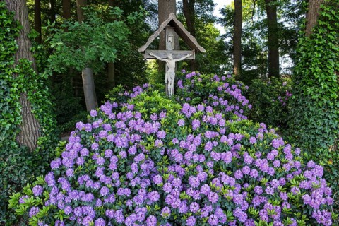 Way Cross with Alpine Roses