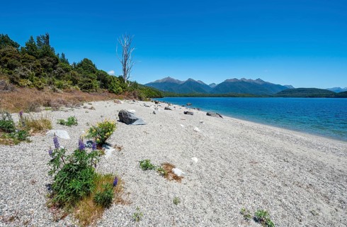 Beach at the lake