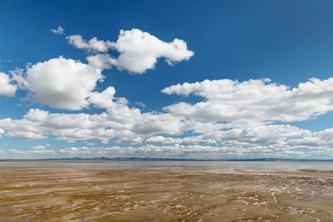 Firth of Thames