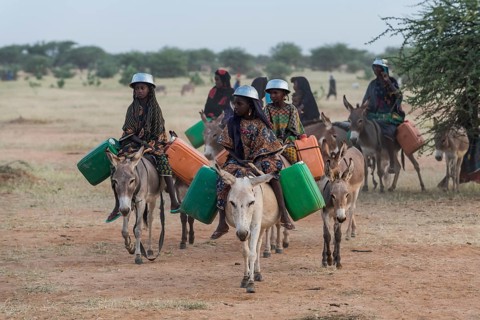 Young girls on donkeys on their way to a waterhole