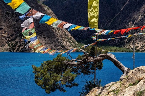 Lake Phoksundo with Buddhist prayer flags and wind shaped tree