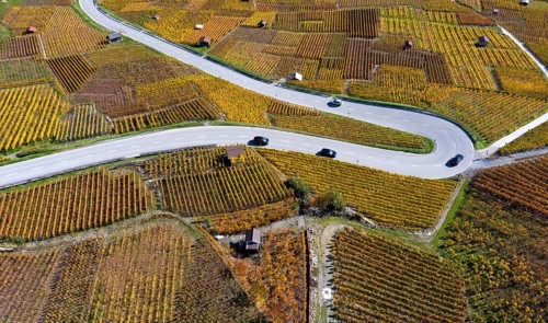 Hairpin bend of a country road runs through the autumn vineyards in the Valais wine growing region of Leytron