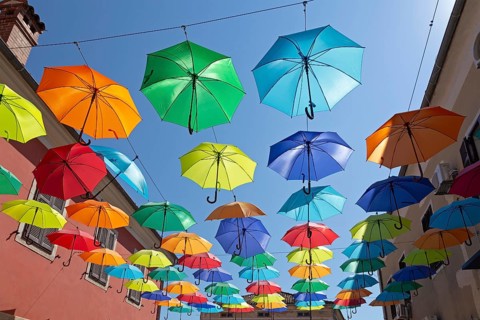 Colourful umbrellas suspended over a street