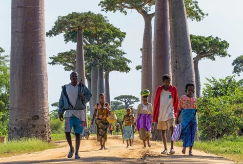 People on Baobab Alley