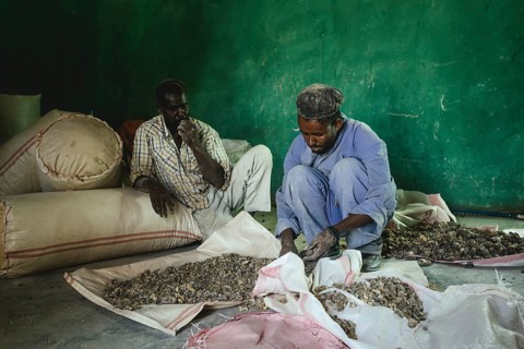 Incense shop premises