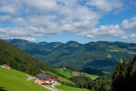 Farm Oberstein am Erlerberg