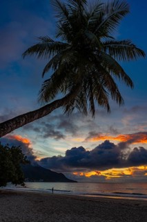 Palm tree and sea at sunset in Beau Vallon Bay