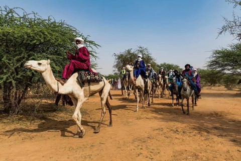 Tuaregs on their camels