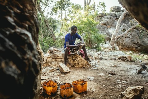 Incense farmer Mohammed in the cave where the harvest is stored temporarily for drying
