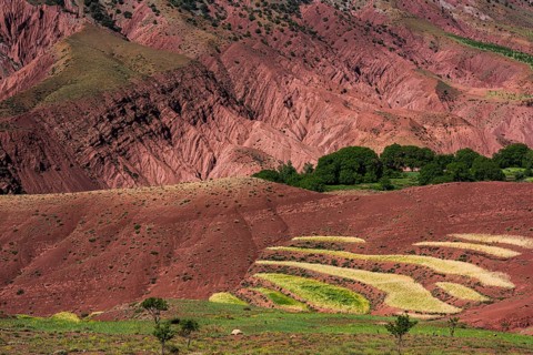 Erosion landscape with small fields