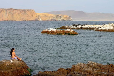 Woman sitting on a rock in Paracas National Reserve