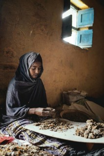 Frankincense dealer
