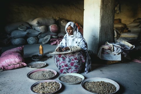 Incense dealer in Erigavo