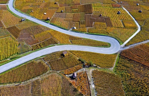 Hairpin bend of a country road runs through the autumn vineyards in the Valais wine growing region of Leytron