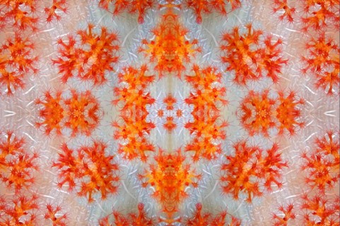 PHOTOMONTAGE