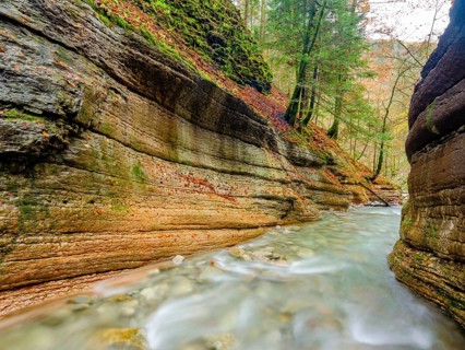 Course of the Taugl or Tauglbach brook
