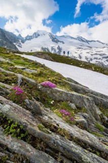Hikers in front of snow-covered mountains
