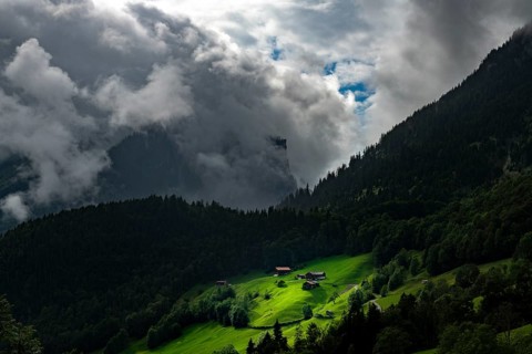 Mountain huts in sunny spot on mountain meadow with mountain forest behind