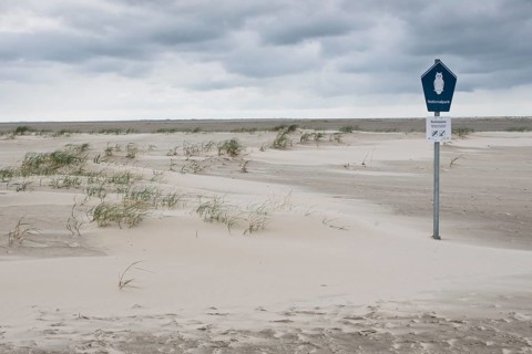 Beach landscape