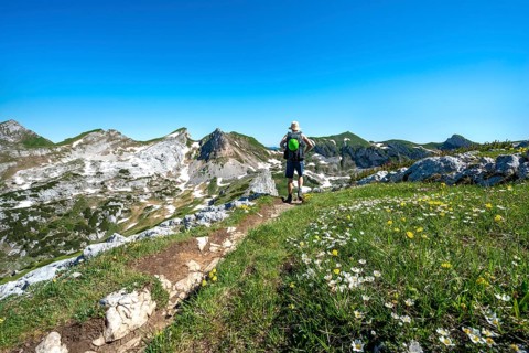 Hiker on a hiking trail