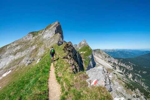 Hiker on a hiking trail