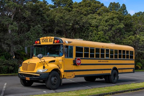 School bus