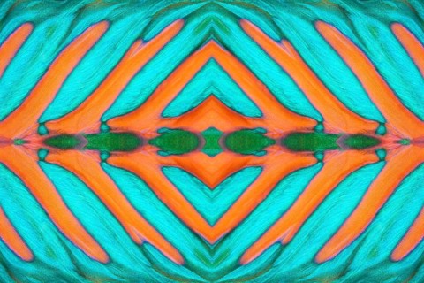 PHOTOMONTAGE