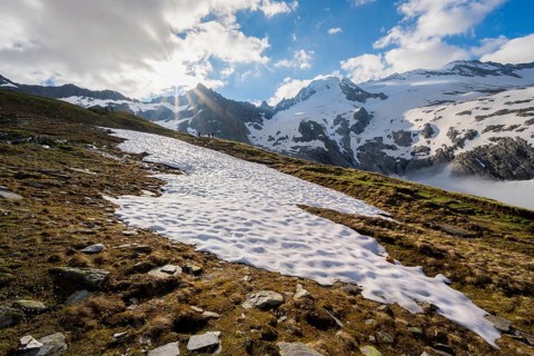 Snow field