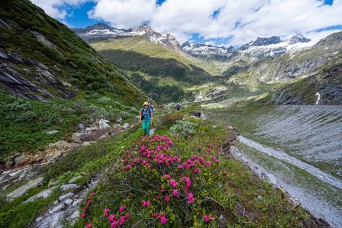 Hiker on the ascent to the Schoenbichler Horn from the Berliner Huette