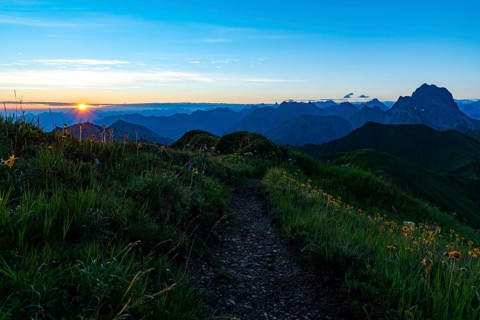 Small mountain path with flower meadow and Allgaeu Alps behind it at sunrise