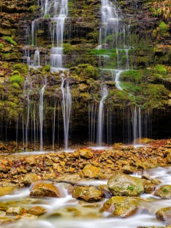 Small cascades flow over a moss-covered rock face