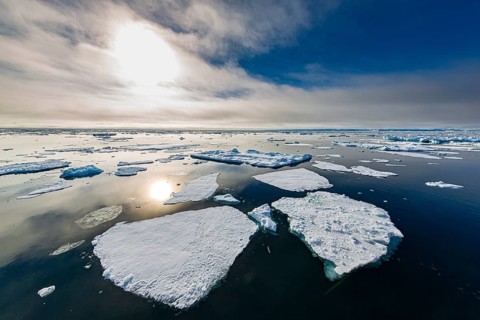 Ice field in the sea